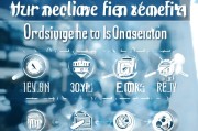 公司申请社保流程全解析，从准备到成功入保的每一步