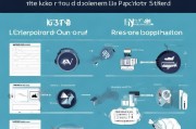 残疾人证申请指南，全面解析申请流程