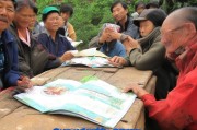 广西农民缺粮补贴申请指南，政策解读、申请流程与权益保障