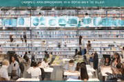 港理工博士申请全攻略，从准备到成功
