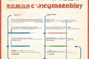 河北买车补贴申请全攻略，从准备到领取的详细流程