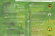 烟叶运输补贴申请全攻略，政策解读、流程指引与注意事项
