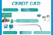 中信信用卡申请全攻略，从准备到激活的每一步