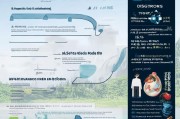 BC省电动车补贴申请全攻略，条件、流程、注意事项详解