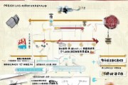 武侯区疫情租房补贴申请指南，政策解读、流程与注意事项