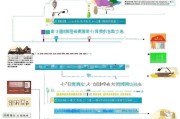 齐齐哈尔社保补贴申请全攻略，条件、流程、注意事项一文读懂