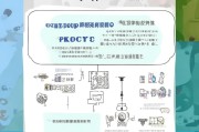 越秀高校毕业生补贴申请指南，政策解读、流程与注意事项