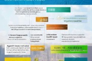 东莞应届毕业生补贴申请全攻略，条件、流程、注意事项