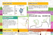 深圳幼儿园补贴申请全攻略，条件、流程、注意事项及常见问题解答