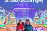 哈尔滨冰雪旅行补贴申请全攻略，冰雪童话之旅，补贴助你轻松启程