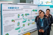 襄阳市蔬菜补贴申请全指南，政策解读、流程详解与注意事项