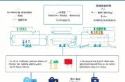 湖南实习生补贴申请全攻略，条件、流程、注意事项，助你顺利申领