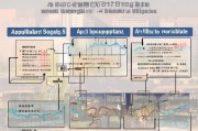 北京公司车牌申请全攻略，从准备到获批的详细流程