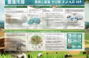 崇左市牛羊养殖补贴申请指南，政策解读、流程详解与实用建议