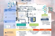 技能证补贴申请全攻略，这些渠道与流程你必须知道