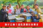 江西农村养蜂补贴申请指南，政策红利助农甜蜜增收