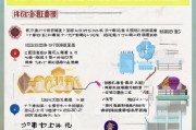 南京稳岗补贴申请全攻略，政策解读、条件流程与注意事项