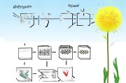 申请蒲公英流程详解，从准备到成功的全面指南