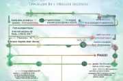 环球网疫情补贴申请指南，政策解读、流程详解与注意事项