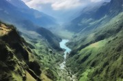 山桂怎么来？