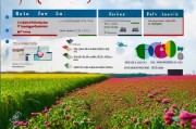 红花草种植补贴申请全攻略，政策解读、流程指南与效益分析