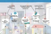 社区养老补贴申请全流程，从条件到领取，一文详解