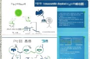苏州疫情公积金补贴申请指南，政策解读、申请流程与注意事项