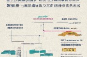 常州面试补贴申请全攻略，条件、流程、材料一文读懂