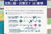 福州自考补贴申请指南，条件、流程与注意事项