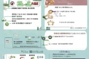 泉州疫情补贴申请指南，政策解读、流程详解与注意事项