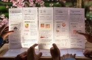 日本退休人员补贴申请全指南，条件、流程与注意事项