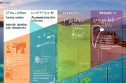 澳洲高校补贴申请全攻略，政策解析、eligibility与实用指南
