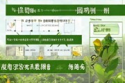 茶油树补贴申请全指南，条件、流程与注意事项