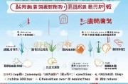 东营无业补贴申请全攻略，条件、流程、注意事项详解