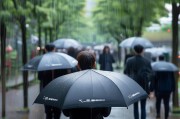 招商银行雨伞计划，助力投资者避开市场波动