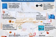 产业技能补贴申请全攻略，从条件到流程，手把手教你领补贴