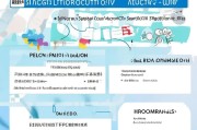 上海特种职业补贴申请指南，政策解读、条件与流程全攻略