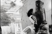 蚌埠市启动树木砍伐补贴申请工作，政策解读、申请指南与民生关怀
