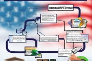 美国婚绿（Marriage-Based Green Card）申请流程详解