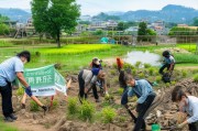环境整治补贴申请，政策红利助力绿色发展，基层实践焕发生态新颜
