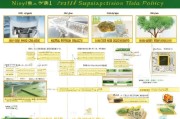 宁夏清真补贴申请政策解读与实操指南，从条件到流程的全解析