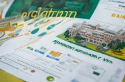 学历补贴申请表，政策红利下的学历变现指南与实操攻略