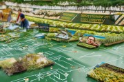 乡镇大棚补贴申请全攻略，政策解读、流程指引与成功案例