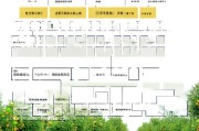 扶绥市坚果种植补贴申请全攻略，政策解读、流程指引与常见问题解答