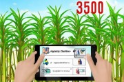 甘蔗种植补贴350元怎么申请？详细指南与注意事项