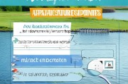 水产养殖补贴申请全攻略，政策解读、流程详解与实用技巧
