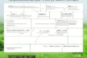 崇明返乡补贴申请指南，政策解读、流程详解与注意事项