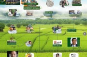 水稻栽培补贴申请指南，从政策解读到资金到账的全流程解析