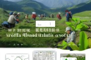 山豆根种植补贴申请全攻略，政策解读与实操指南